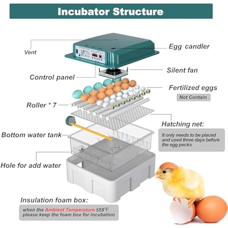عربست حاضنة بيض من كوينسيبتوس، حاضنة بيض مع دوران البيض التلقائي ومراقبة الرطوبة، حاضنة لبيض الدجاج، حاضنة 36 بيضة مع شمعة، لبيض البط وبيض السمان - Image 5